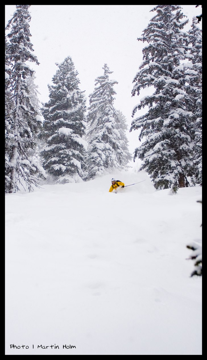 Foto: Martin Holm. Åkare: Christian Åkesson.