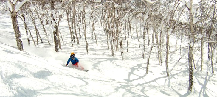 Foto: Christer Hällare. Åkare: Mario Marinkovic.