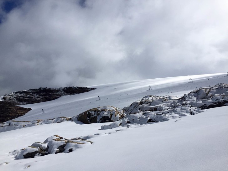 Nysnø!
Vi fikk 15cm nysnø i natt og nå snør de.