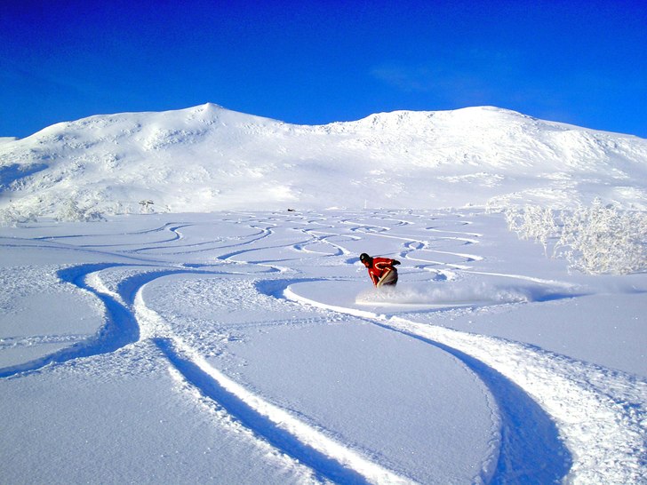 Nyfallen snö, två veckor efter nyår, kunde läg. Foto: peter nordin. Åkare: camilla waara.