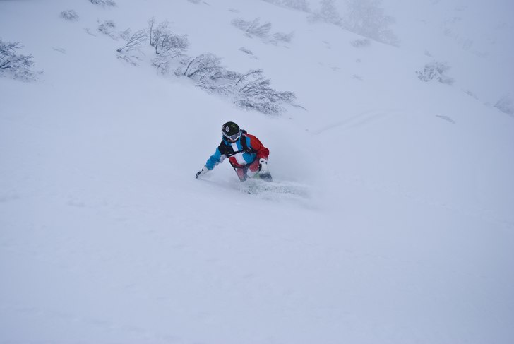 Foto: samuel markusson. Åkare: elin anander.