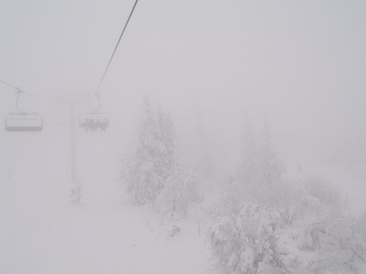 vafan lite dimma har ingen dött av, tror jag. Foto: stelligörl. Åkare: grabbs.