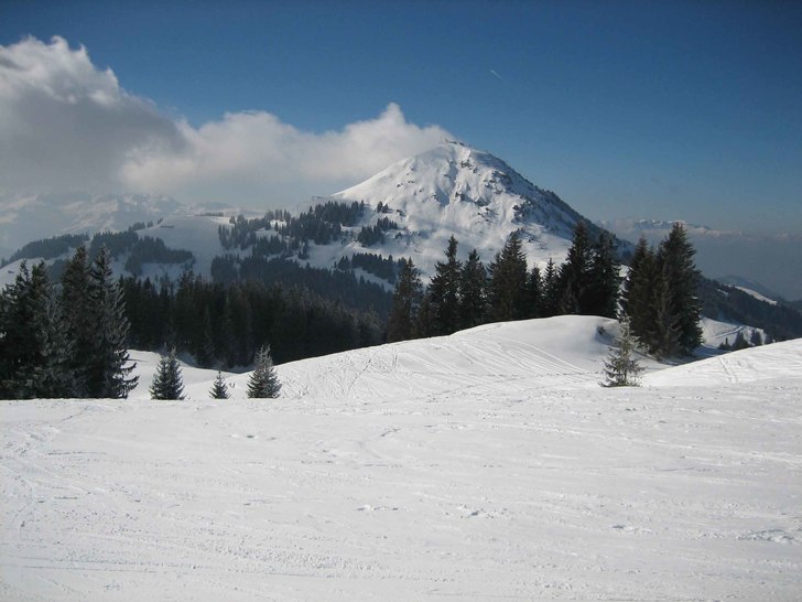 Foto: Johan Lindqvist.