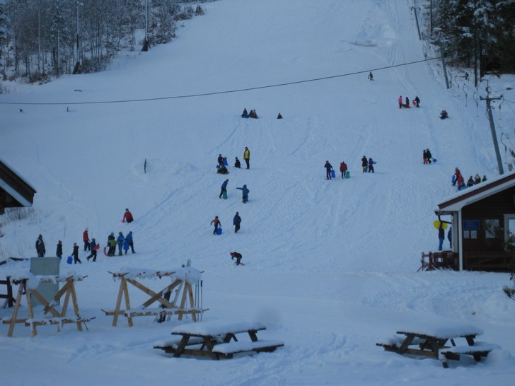 Aktiviteter fra skolen!

Et yrende liv i alpinbak.