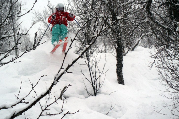 Skogsskidåkning is da shit!. Foto: Arvid Larsson. Åkare: Oscar Lagnéus.