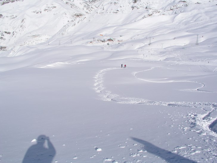 Go fläta....... Foto: Pierre Andihn. Åkare: Peter Siegenthaler & Göran Glad.
