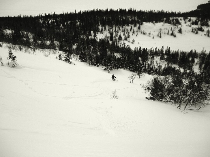 Foto: Marcus Jernström. Åkare: Petter Björnsson.