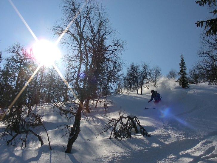 Foto: Robert Hortlund. Åkare: Henrik Liljeqvist.