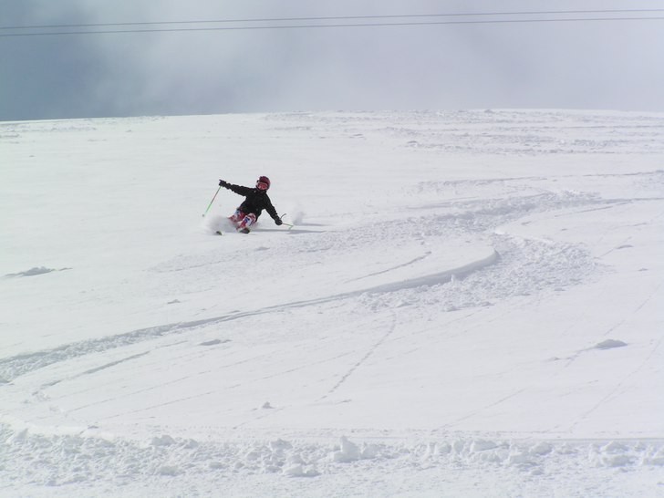 Felicia 10år. Foto: Mats Westin. Åkare: Felicia Westin.