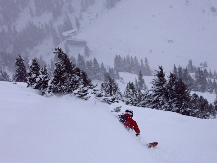 Skönt med lite skog när det dumpar!. Foto: Anders Schlander. Åkare: Robert Hortlund.