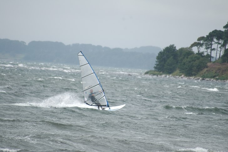 Foto: Miranda Christiaans. Åkare: Rick Christiaans.