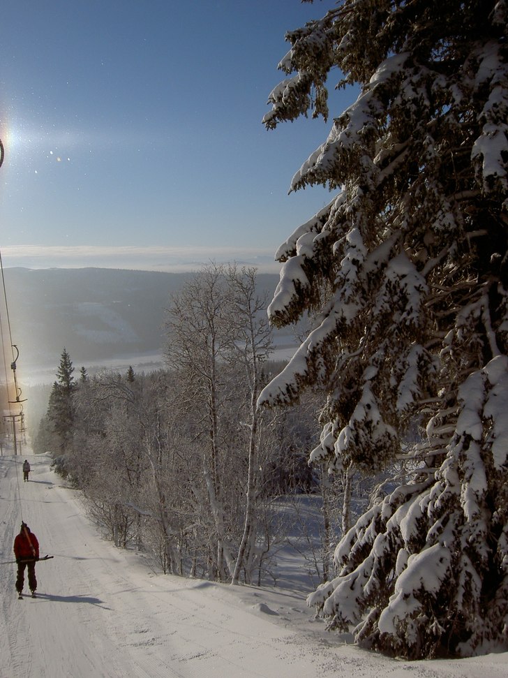 Foto: Sara Kitti Edin.