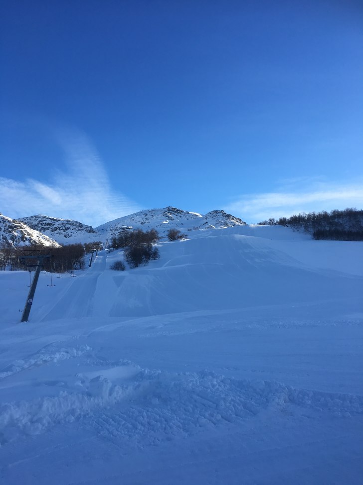 Onsdag 1/3
I dag er det vindstille, -8 grader og s.
