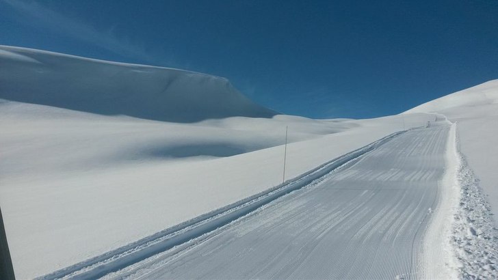 Fantastiske forhold
Turløyper til Dale og Skogo p.