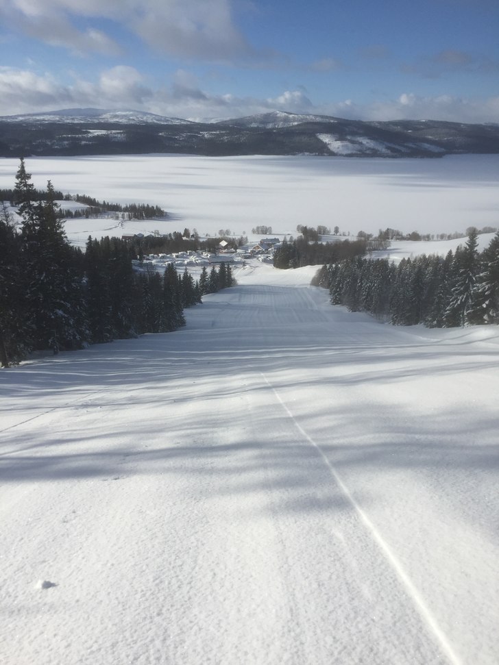 Ny flott dag
Etter masse snø ble det sol og dette.