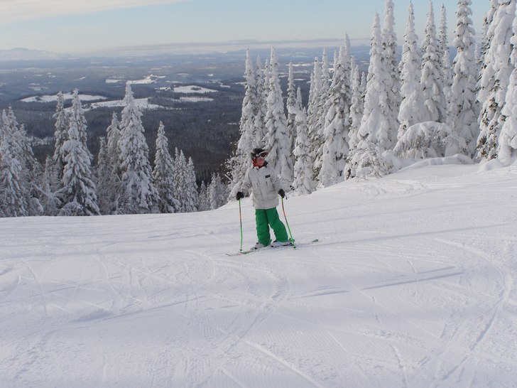 Foto: Mamma. Åkare: Rasmus Edfalk.