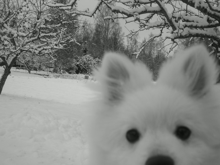 Foto: jag. Åkare: harry.