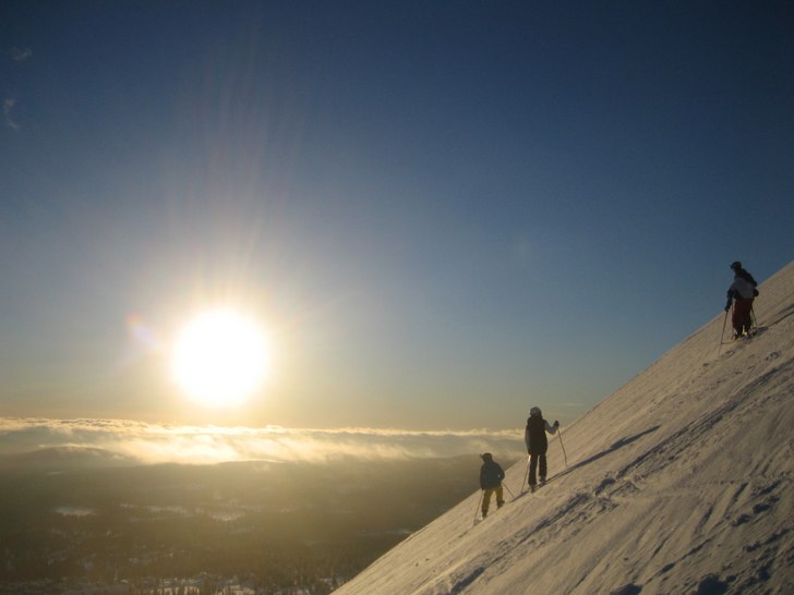 Foto: Johan Törnkvist.