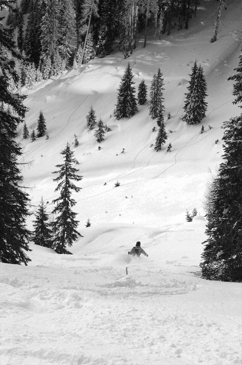 Foto: Peter Sundström. Åkare: Olle Sundström.