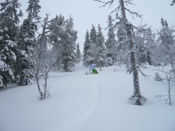 Lite cruising i skogen. Foto: Kiljan Ardal. Åkare: Viktor Månsson (jag).