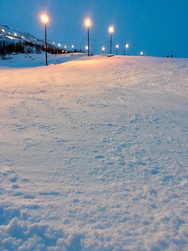 Traseen til familietrekket 
.