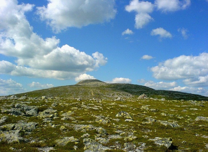 Foto: Alexander Höckert.