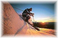 Foto: Marie Birkl. Åkare: Emil Nilsson.