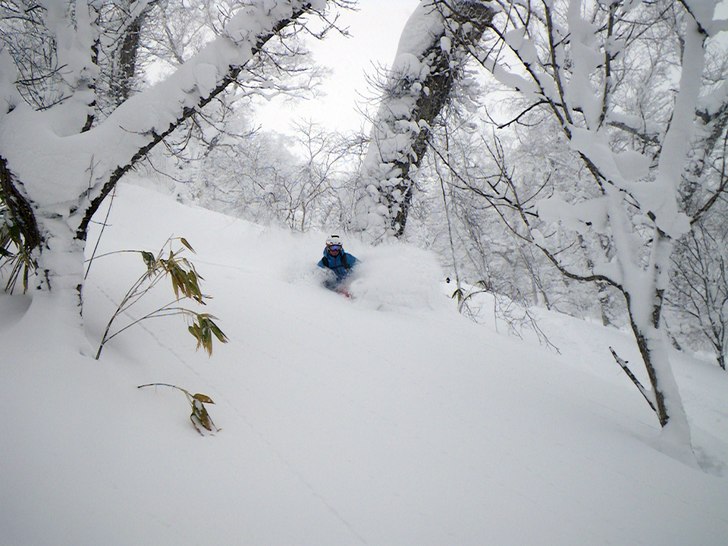 Foto: Robert Hortlund. Åkare: Henrik Liljeqvist.