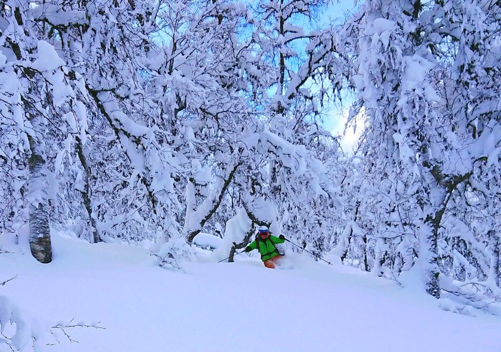 Puder i skog utanför Sogn skisenter!.