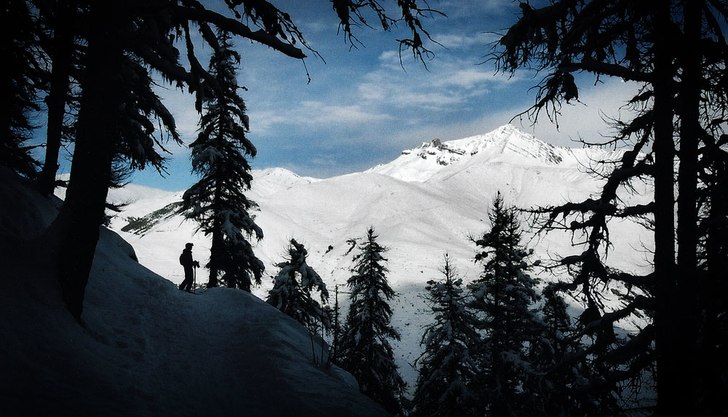fin utsikt mellan träden.. Foto: jakob wallin. Åkare: malena.