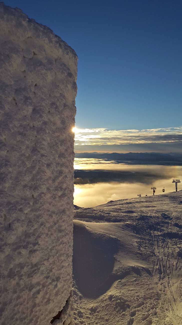 Foto: Martin Åström.