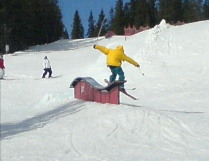 Foto: Gustav Djurberg. Åkare: PK Hunder.