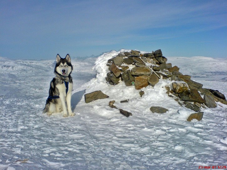 Bilden är tagen efter en trevlig tur upp på Vass. Foto: Mikael Heljelid. Åkare: Niják.