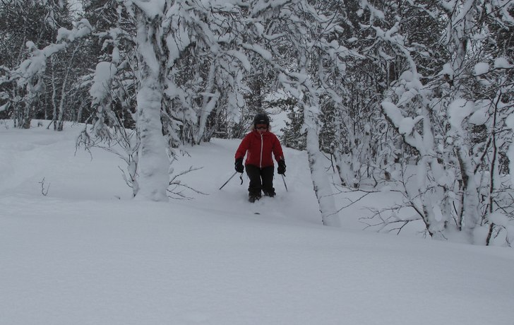 Så härligt!. Foto: Robert Forslund. Åkare: Kristina Forslund.