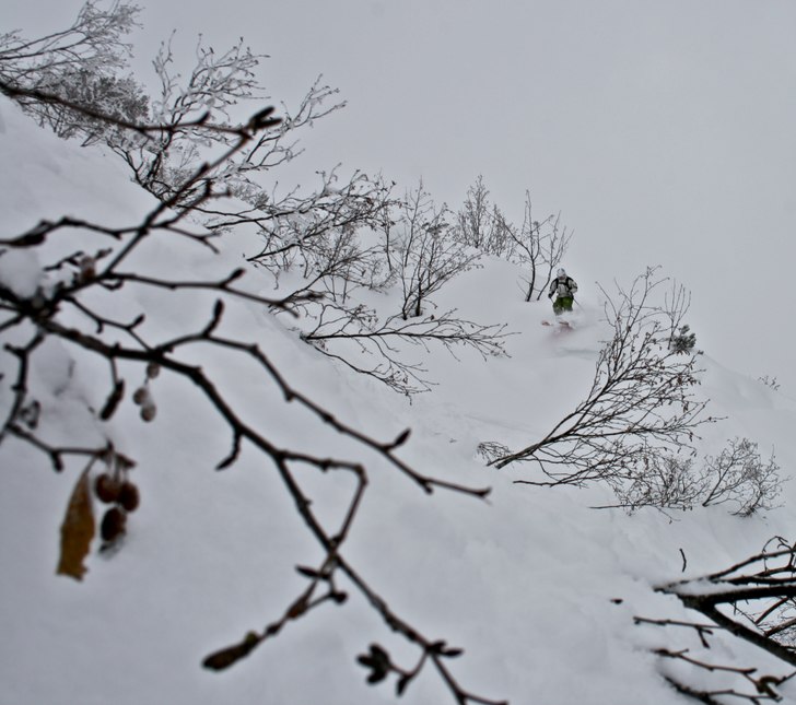 Foto: Felix Grunert. Åkare: Patrik Hammarlund.