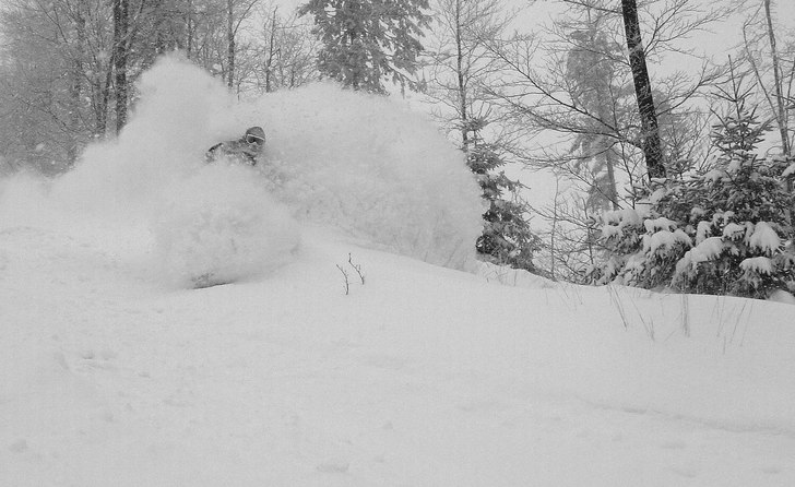 late autumn already choking. Foto: Monic. Åkare: Niko.