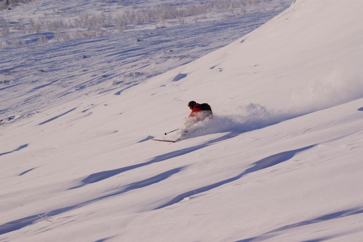 Foto: Daniel Forsberg. Åkare: Tobias Thrysen.