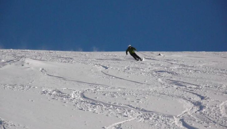 Svensk fluff. Foto: Linda Ifwer. Åkare: Patrik Hjelm.