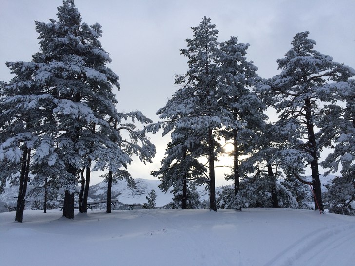 Vi åpner flere bakker
På lørdag er det klart fo.