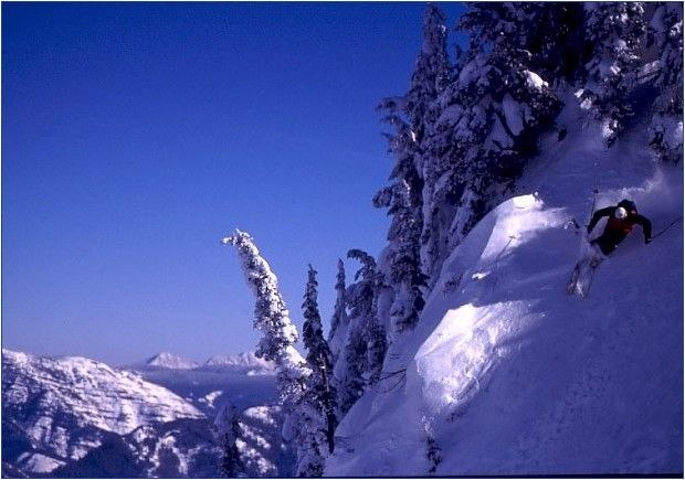 Foto: Rikard Andersson. Åkare: Trent Scarlett.