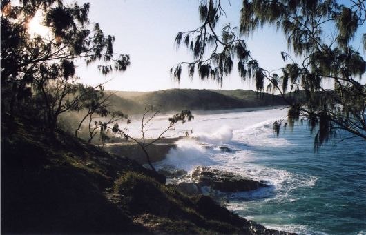 Noosa National Park, Australien. Mumma för surfar. Foto: Ulf Brissman.
