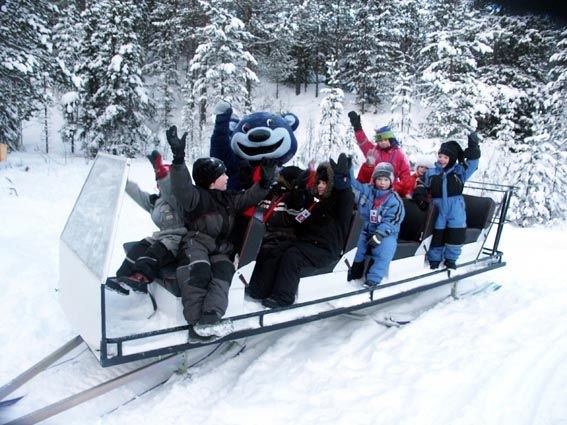 Jag på min praktik. Loffe är en riktigt mysig bj. Foto: Steen Karlsson.