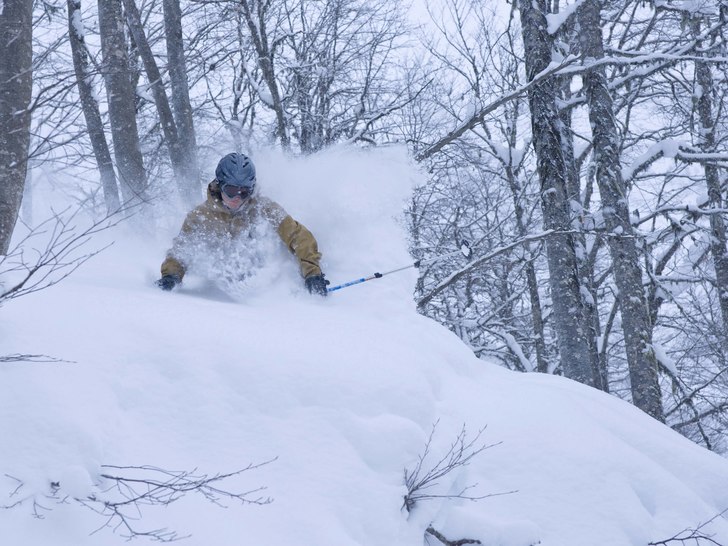Foto: oleg krivtsov. Åkare: oles.
