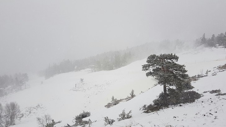 Det snør og vi har åpent hver dag
Kulda har komm.