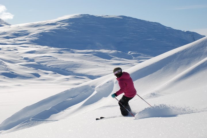 Foto: Christian Brunnsåker. Åkare: Camilla Lundberg.