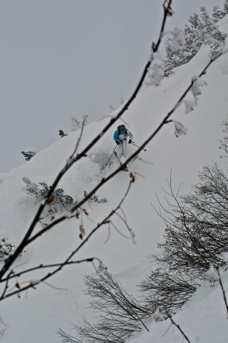 Foto: Felix Grunert. Åkare: Rikard Lindblad.