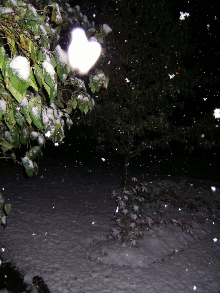 Första snön för i år här :D. Foto: Hampus Persson.