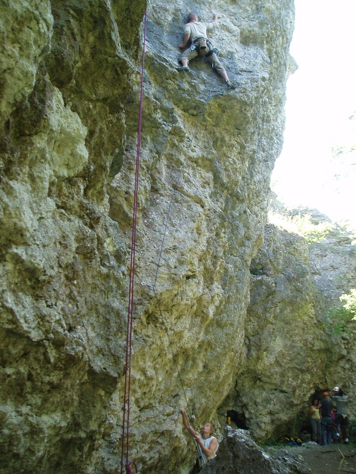 Joen på Djungel vrål 7+ . Foto: Ankan. Åkare: Joen.