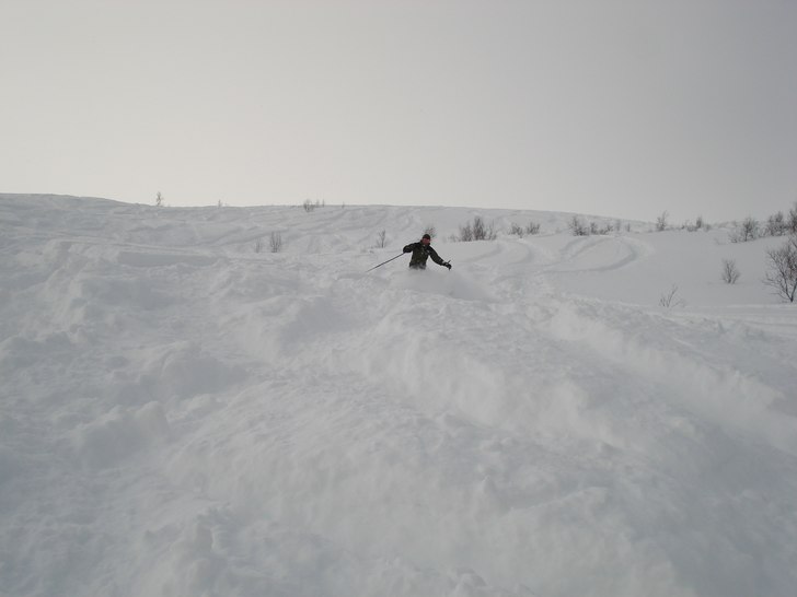 Foto: Tomas Broberg. Åkare: Anders Engvall.