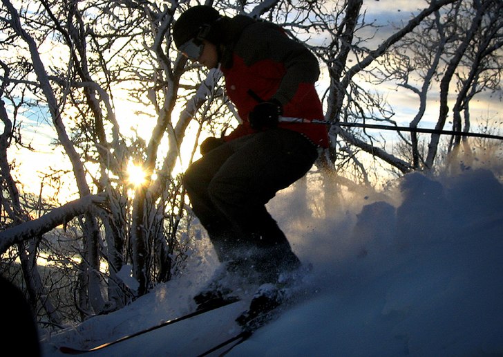 Jag tar mig en tur ner bland 
småbjörknarna. Foto: Christine Holm. Åkare: Tobias Ivarsson.